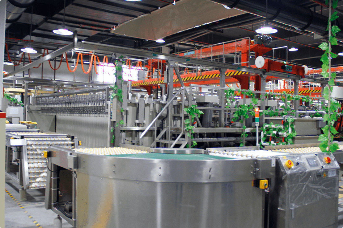 Auto plating production line